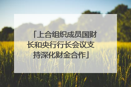 上合组织成员国财长和央行行长会议支持深化财金合作