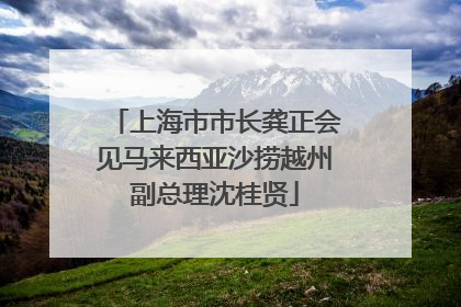 上海市市长龚正会见马来西亚沙捞越州副总理沈桂贤