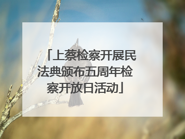 上蔡检察开展民法典颁布五周年检察开放日活动