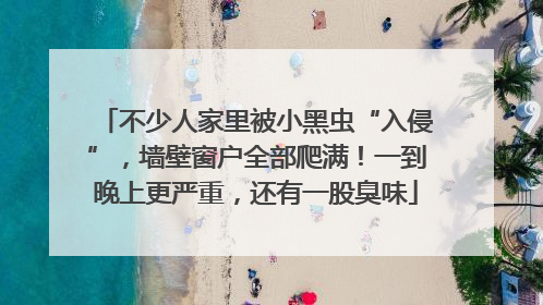 不少人家里被小黑虫“入侵”，墙壁窗户全部爬满！一到晚上更严重，还有一股臭味