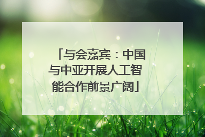 与会嘉宾：中国与中亚开展人工智能合作前景广阔