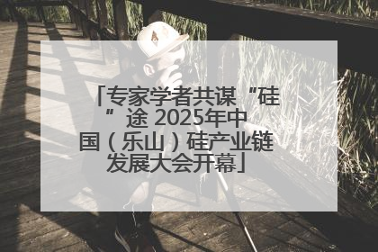 专家学者共谋“硅”途 2025年中国（乐山）硅产业链发展大会开幕
