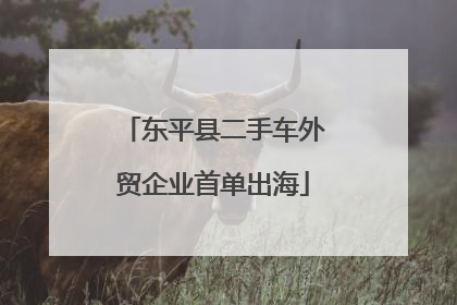 东平县二手车外贸企业首单出海