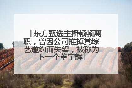 东方甄选主播顿顿离职，曾因公司推掉其综艺邀约而失望，被称为下一个董宇辉