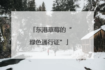 东港草莓的“绿色通行证”