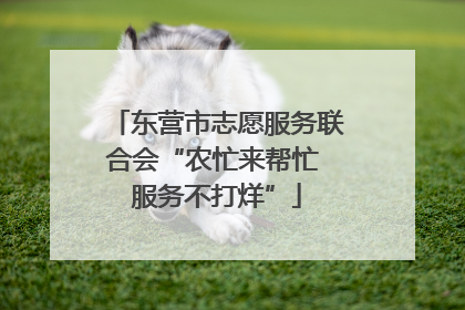 东营市志愿服务联合会“农忙来帮忙 服务不打烊”