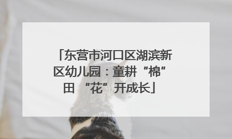 东营市河口区湖滨新区幼儿园：童耕“棉”田 “花”开成长