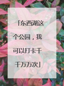 东西湖这个公园，我可以打卡千千万万次