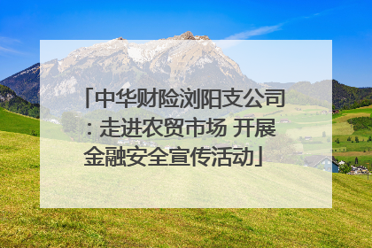 中华财险浏阳支公司：走进农贸市场 开展金融安全宣传活动