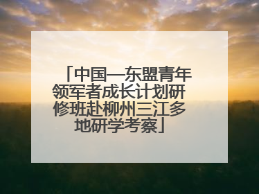 中国—东盟青年领军者成长计划研修班赴柳州三江多地研学考察