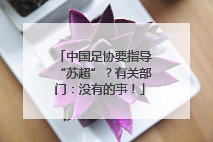 中国足协要指导“苏超”？有关部门：没有的事！