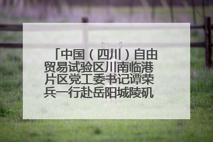 中国（四川）自由贸易试验区川南临港片区党工委书记谭荣兵一行赴岳阳城陵矶综保区考察