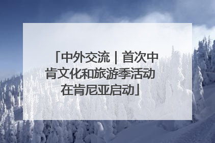中外交流｜首次中肯文化和旅游季活动在肯尼亚启动