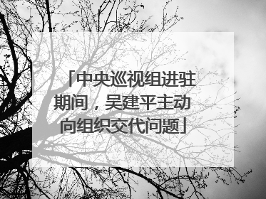 中央巡视组进驻期间，吴建平主动向组织交代问题