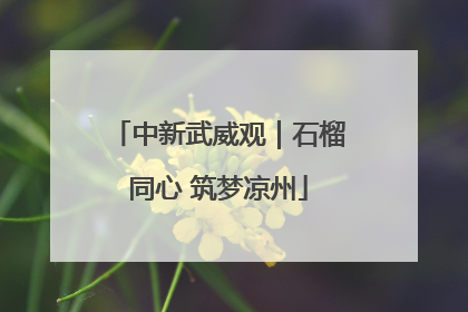 中新武威观｜石榴同心 筑梦凉州