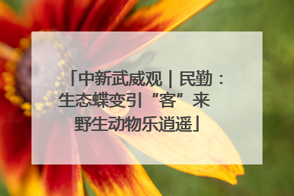 中新武威观｜民勤：生态蝶变引“客”来 野生动物乐逍遥