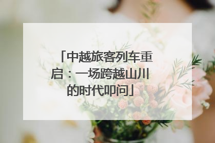 中越旅客列车重启：一场跨越山川的时代叩问
