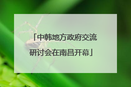 中韩地方政府交流研讨会在南昌开幕