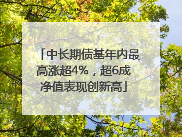 中长期债基年内最高涨超4%，超6成净值表现创新高