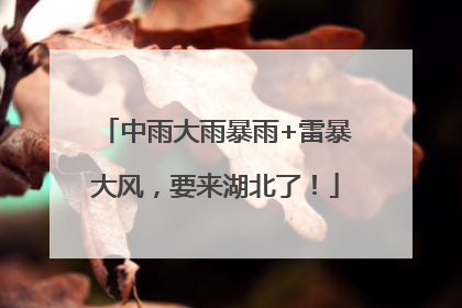 中雨大雨暴雨+雷暴大风，要来湖北了！