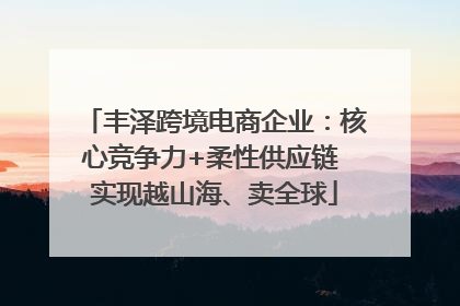 丰泽跨境电商企业：核心竞争力+柔性供应链 实现越山海、卖全球