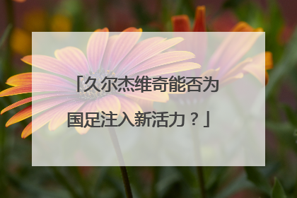 久尔杰维奇能否为国足注入新活力？