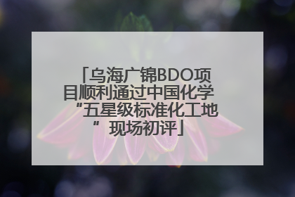 乌海广锦BDO项目顺利通过中国化学“五星级标准化工地”现场初评