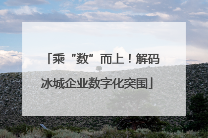 乘“数”而上！解码冰城企业数字化突围
