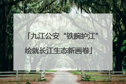 九江公安“铁腕护江”绘就长江生态新画卷