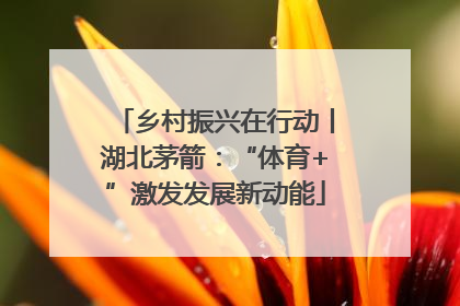 乡村振兴在行动丨湖北茅箭：“体育+”激发发展新动能