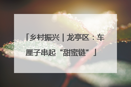 乡村振兴｜龙亭区：车厘子串起“甜蜜链”