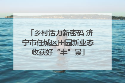 乡村活力新密码 济宁市任城区田园新业态收获好“丰”景