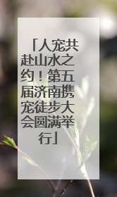 人宠共赴山水之约！第五届济南携宠徒步大会圆满举行