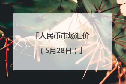 人民币市场汇价（5月28日）