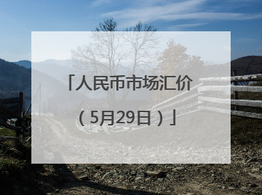 人民币市场汇价（5月29日）