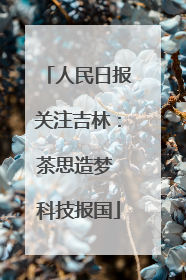 人民日报关注吉林：茶思造梦 科技报国