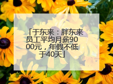 于东来：胖东来员工平均月薪9000元，年假不低于40天