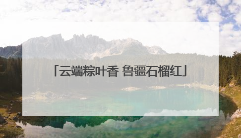 云端粽叶香 鲁疆石榴红
