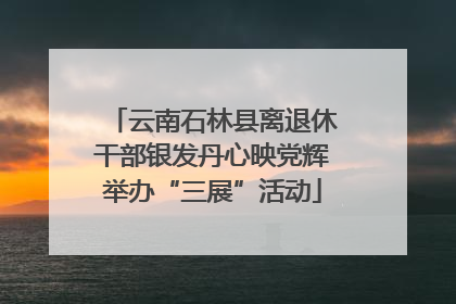 云南石林县离退休干部银发丹心映党辉举办“三展”活动