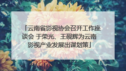 云南省影视协会召开工作座谈会 于荣光、王砚辉为云南影视产业发展出谋划策