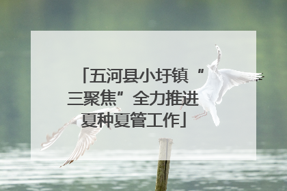 五河县小圩镇“三聚焦”全力推进夏种夏管工作