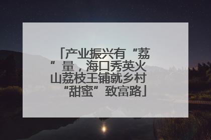 产业振兴有“荔”量，海口秀英火山荔枝王铺就乡村“甜蜜”致富路