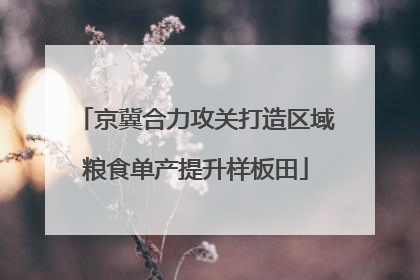 京冀合力攻关打造区域粮食单产提升样板田