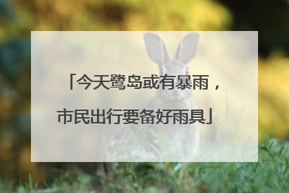 今天鹭岛或有暴雨，市民出行要备好雨具