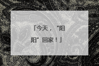 今天，“阳阳”回家！