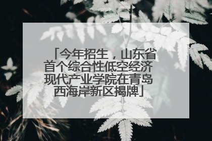 今年招生，山东省首个综合性低空经济现代产业学院在青岛西海岸新区揭牌