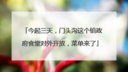 今起三天，门头沟这个镇政府食堂对外开放，菜单来了