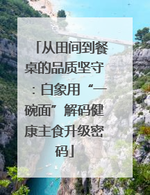从田间到餐桌的品质坚守：白象用“一碗面”解码健康主食升级密码