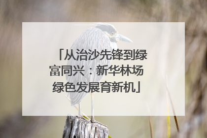 从治沙先锋到绿富同兴：新华林场绿色发展育新机