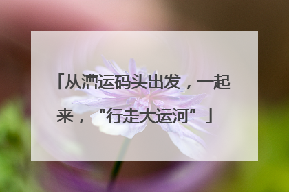 从漕运码头出发，一起来，“行走大运河”